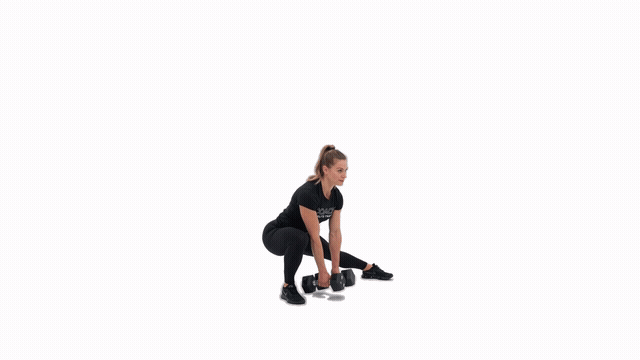 Dumbbell Alternating Static Lateral Lunge