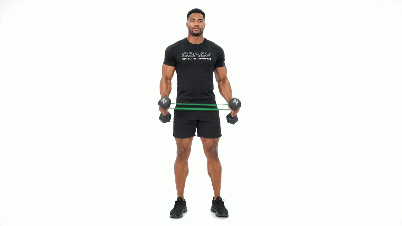 Mini Band Dumbbell Hammer Curl