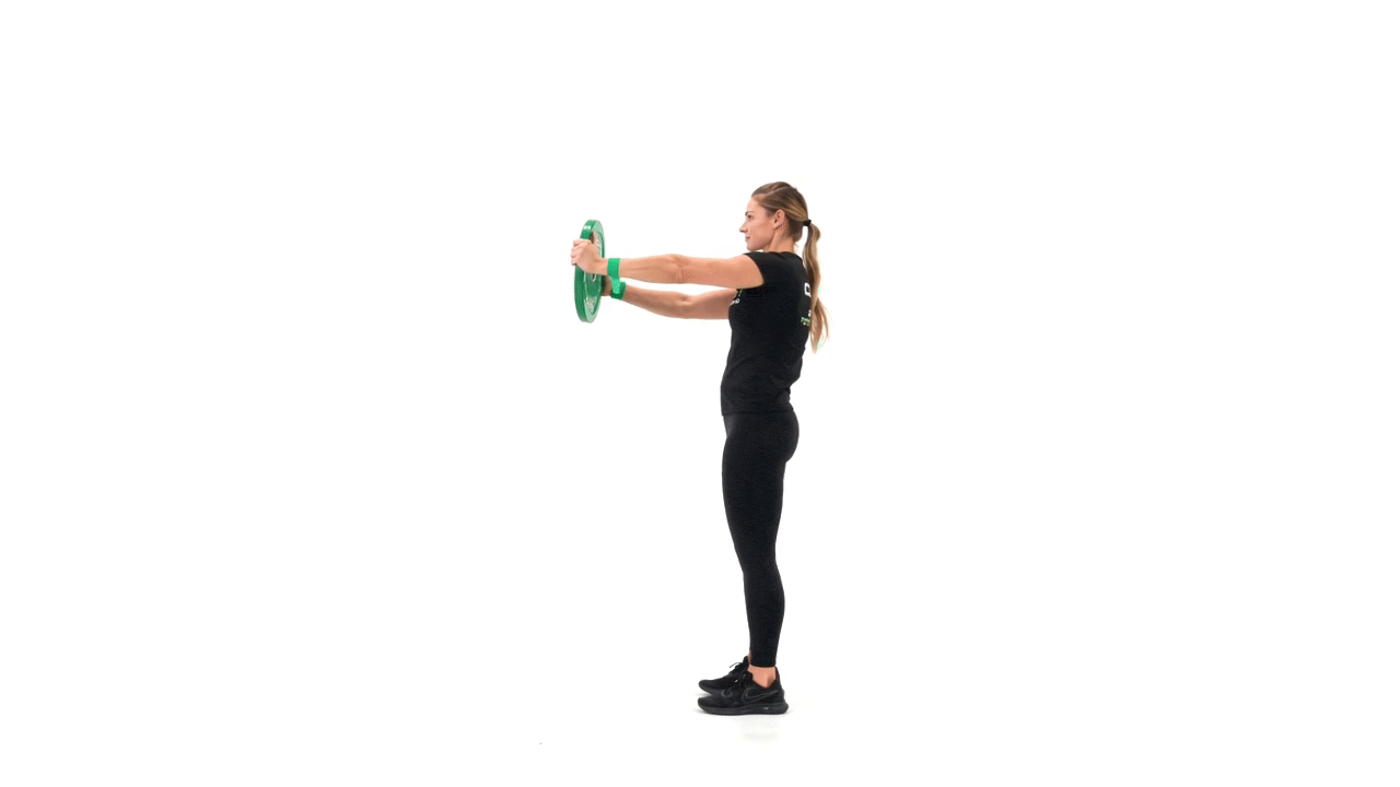 Mini Band Plate Hold