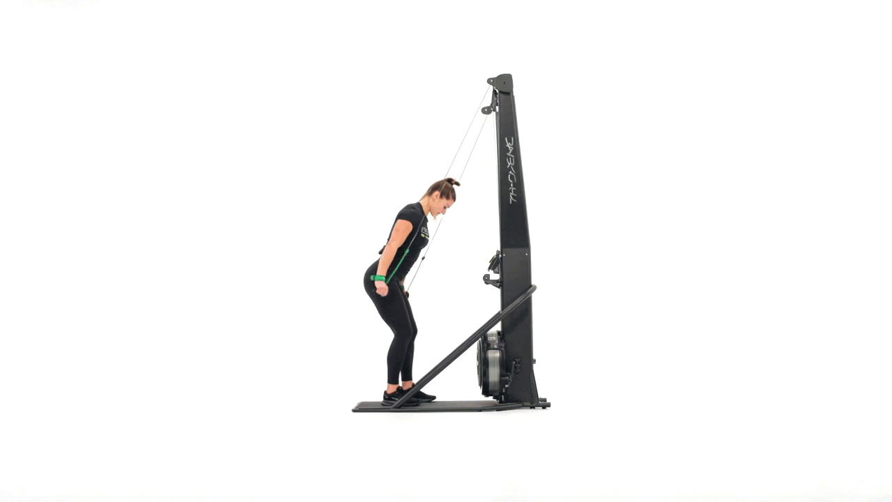 Mini Band Skierg Tricep Kickback