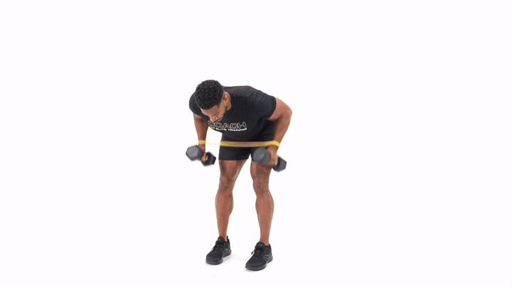Miniband Dumbbell Row ISO Hold