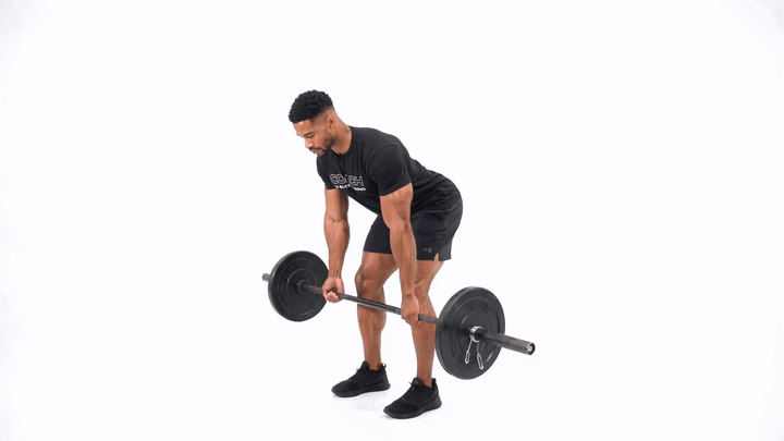 Mixed Grip Barbell Bent Over Row