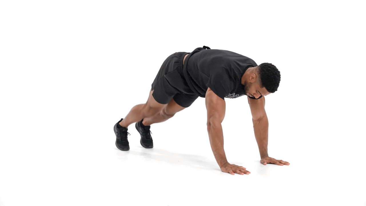 Plank Oblique Tucks