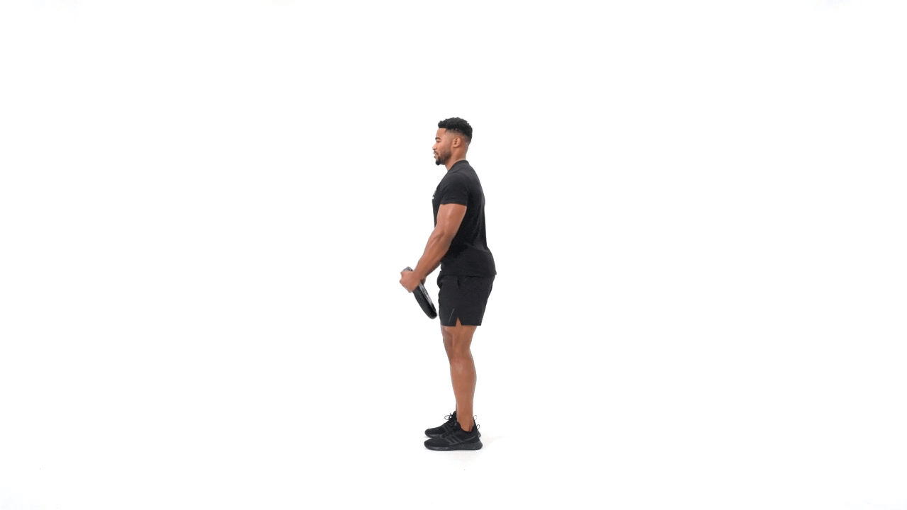 Plate Curl