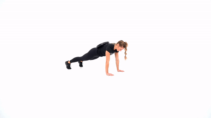Plate Push Up
