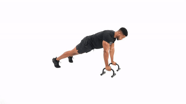 Push Up Grip Push Up