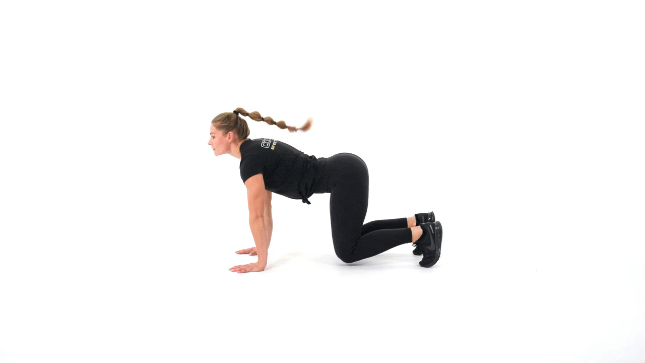 Quad Plank