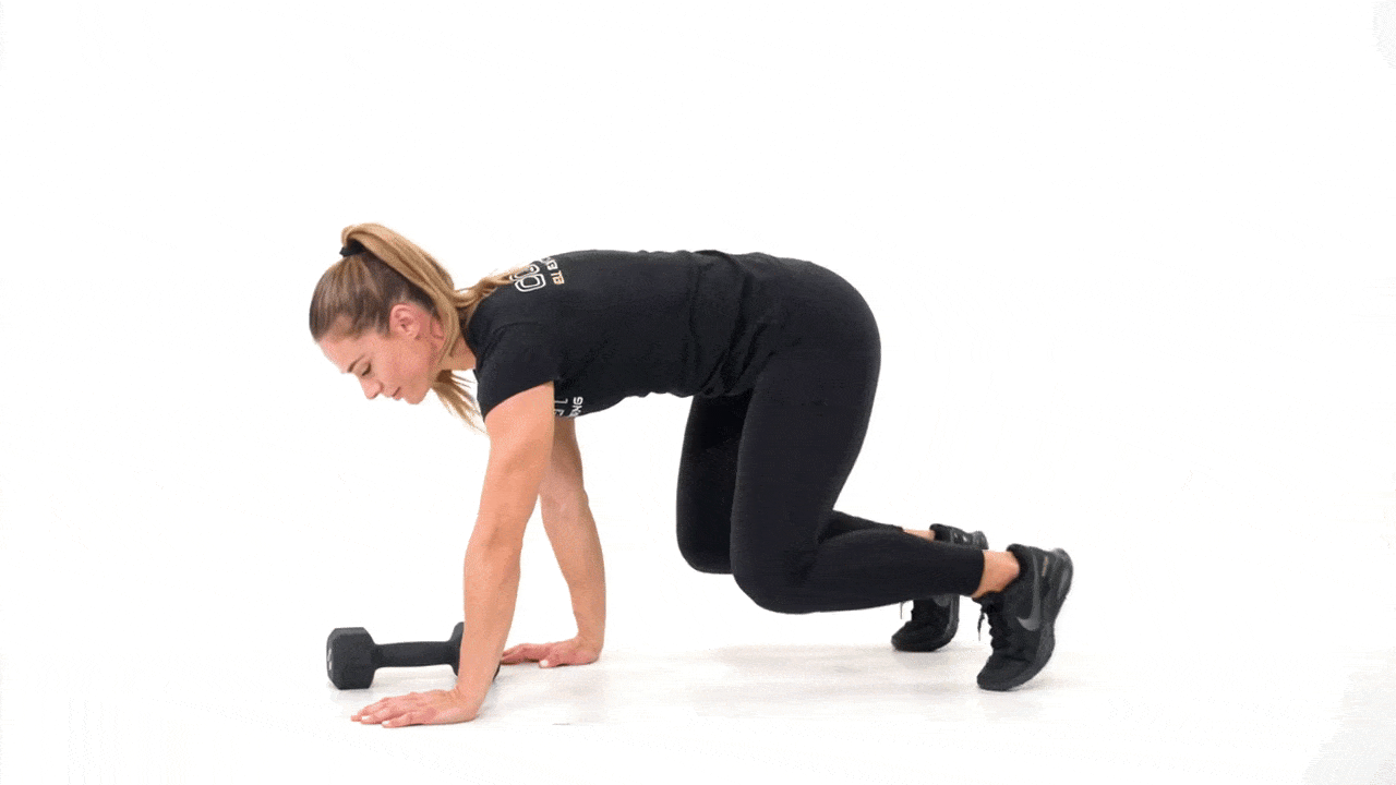 Quad Plank Dumbbell Push Out