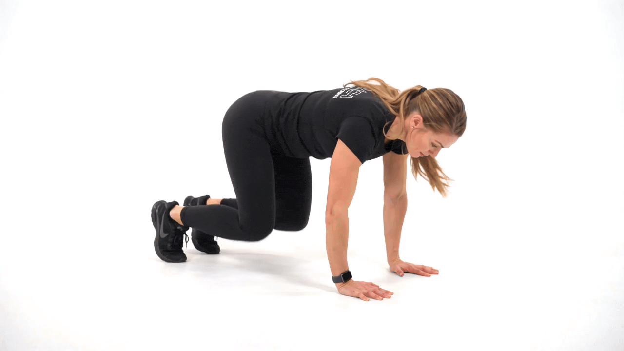 Quad Plank Jacks