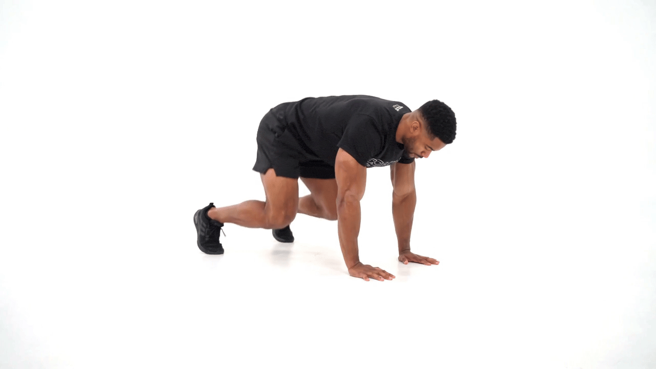 Quad Plank Knee Tap