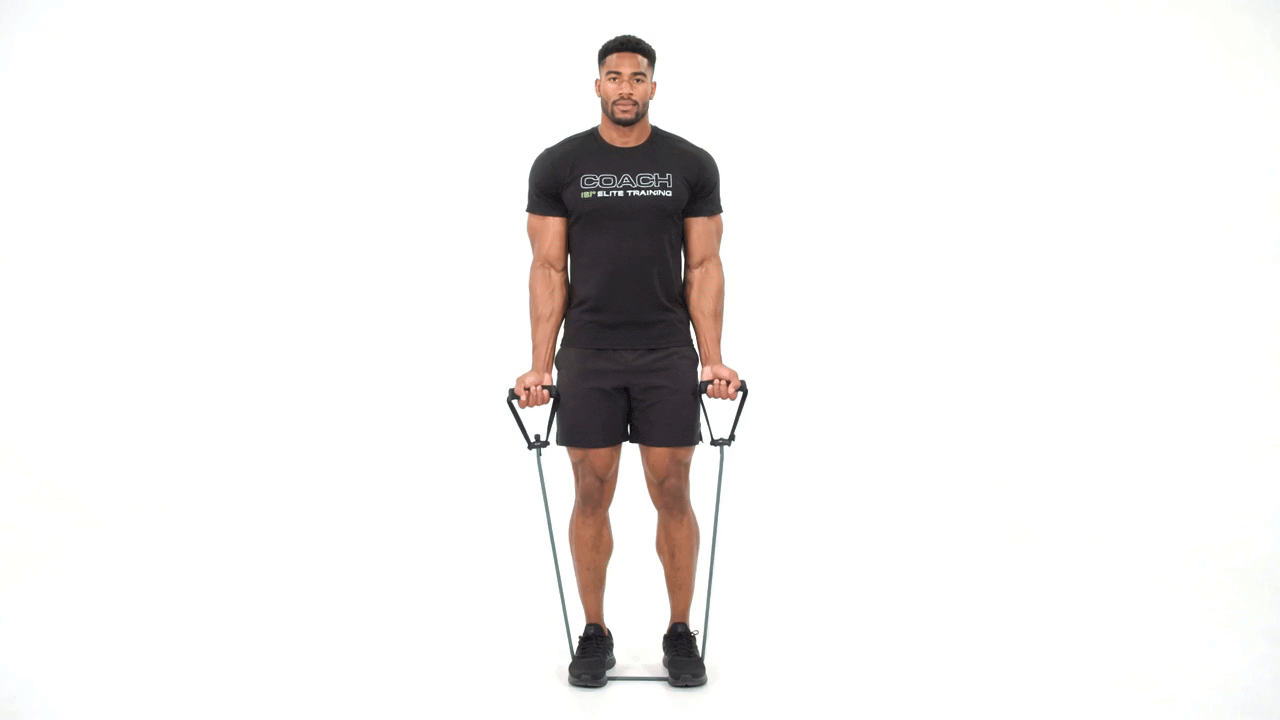 Resistance Band Bicep Curl