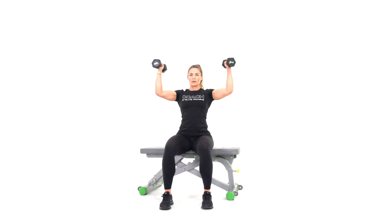 Seated Arnold Press