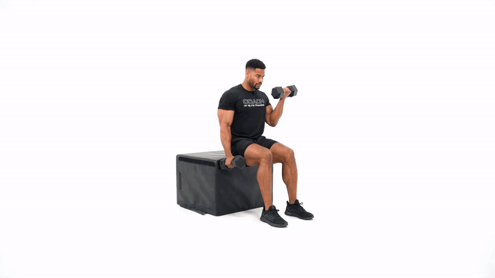 Seated Dumbbell ALT Bicep Curl