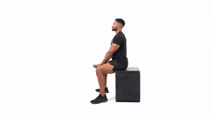 Seated Plate Raise