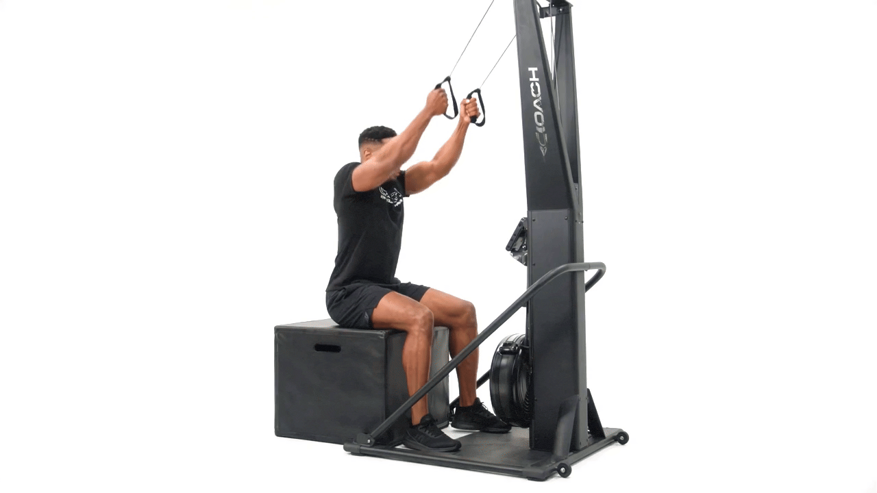 Seated Skierg Pull