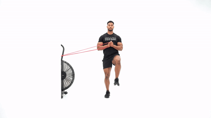 Single Leg Pallof Press