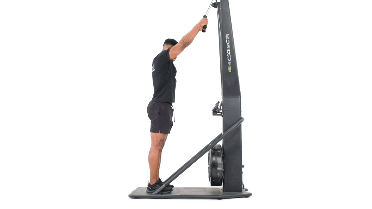SkiErg Alternating Pull