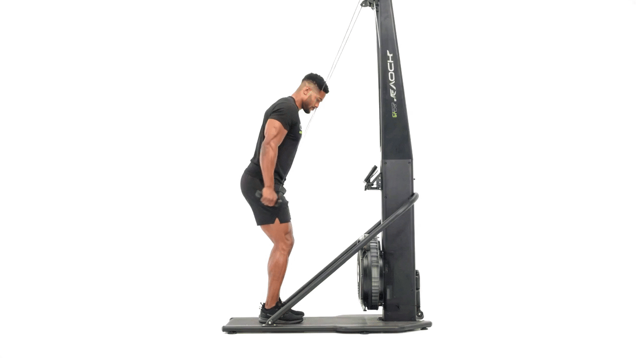 SkiErg Alternating Tricep Kickback