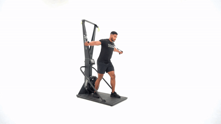 Skierg Chest Fly