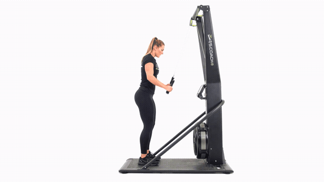 SkiErg Squat Jump