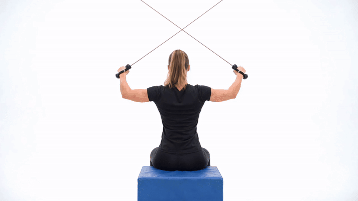 Skierg Seated X Pull