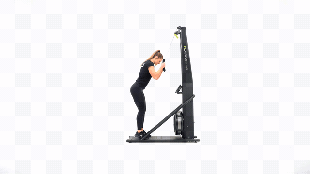 SkiErg Sprint