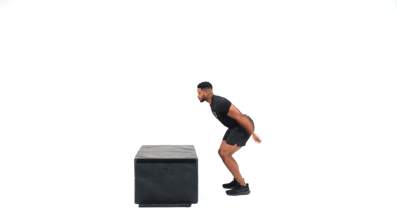 SL Landing Box Jump