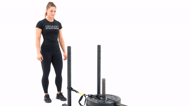 Sled Push/Pull TRX