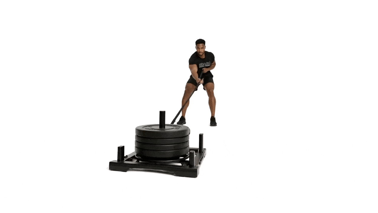Sled Standing Rope Pull/Push