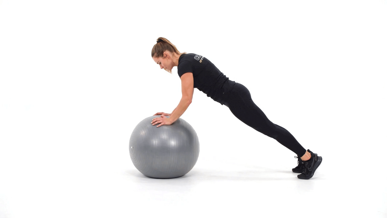 Stability Ball Hi/Lo Plank Rollout
