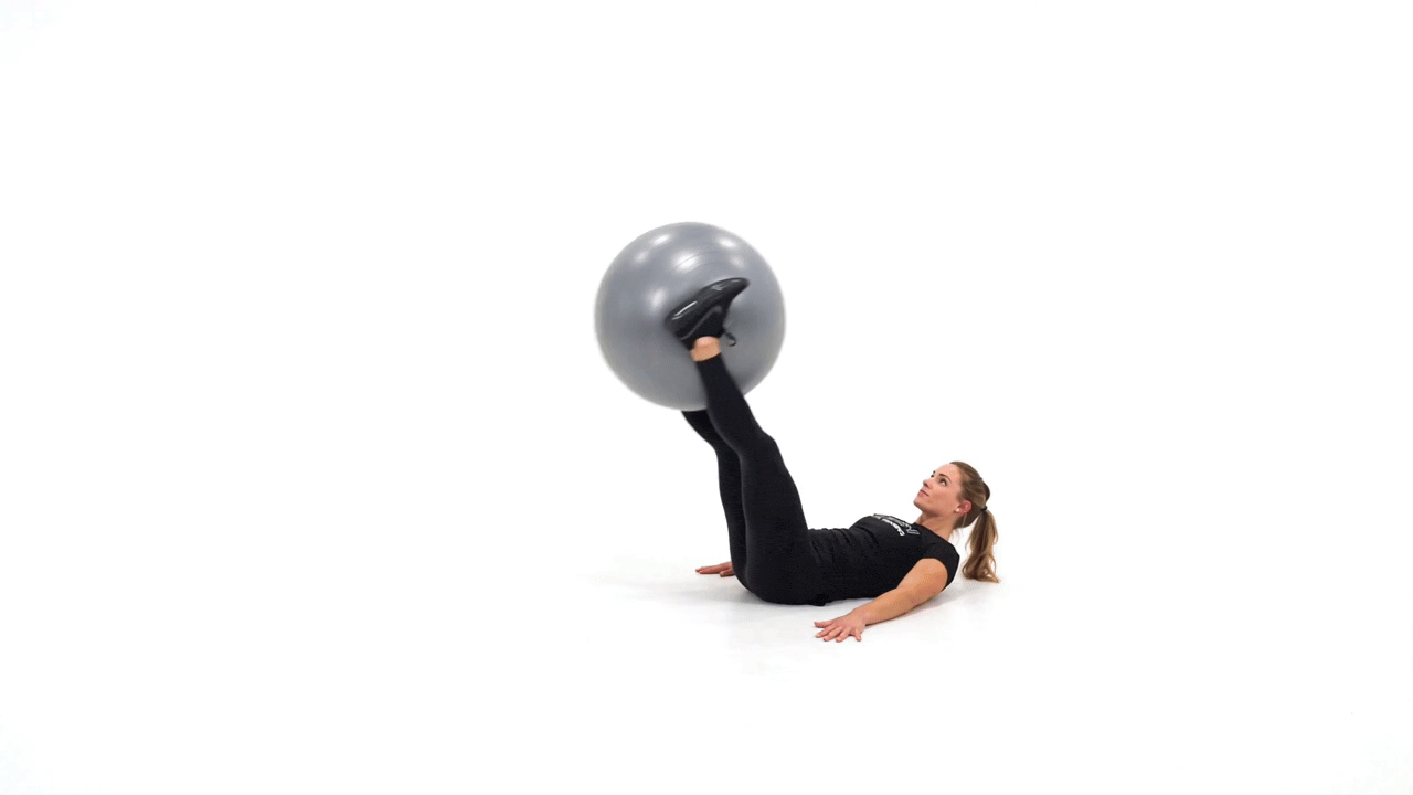 Stability Ball Leg Raise