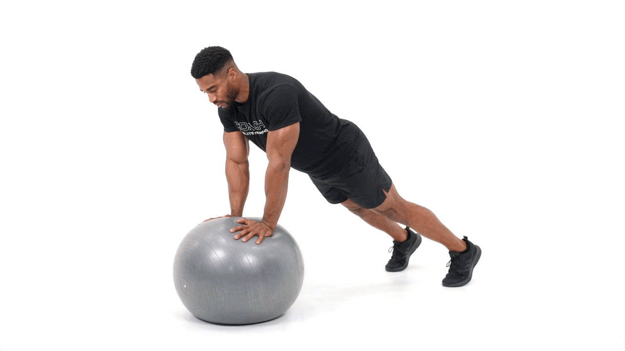 Stability Ball Plank