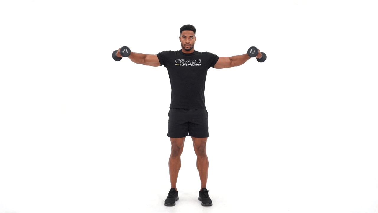 Standing Dumbbell Lateral Raise