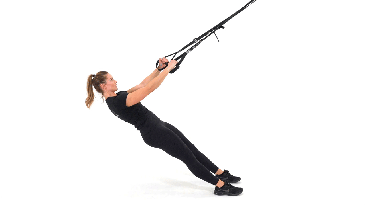 TRX Bicep Curl