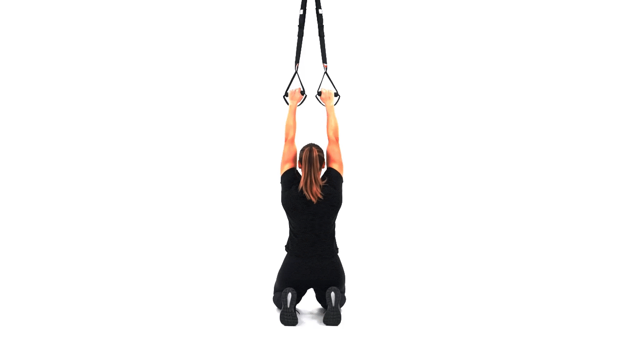 TRX Pull Up