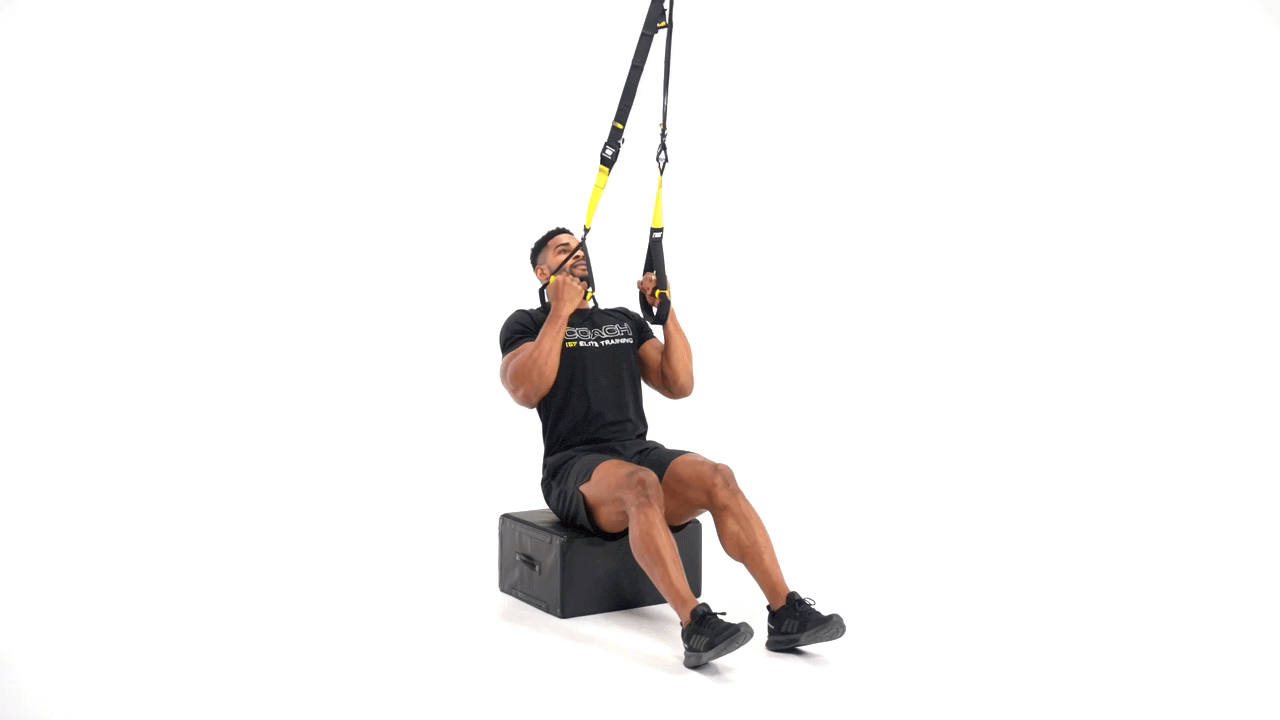 TRX Seated Row
