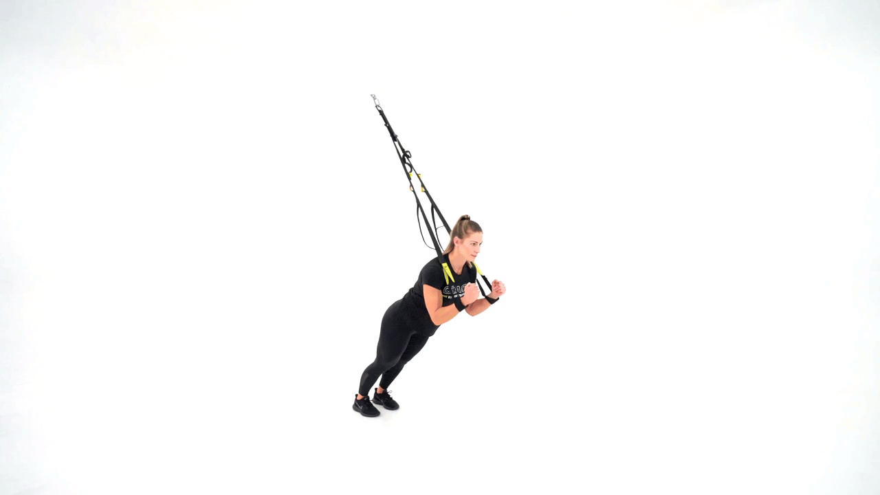 TRX Serratus Press