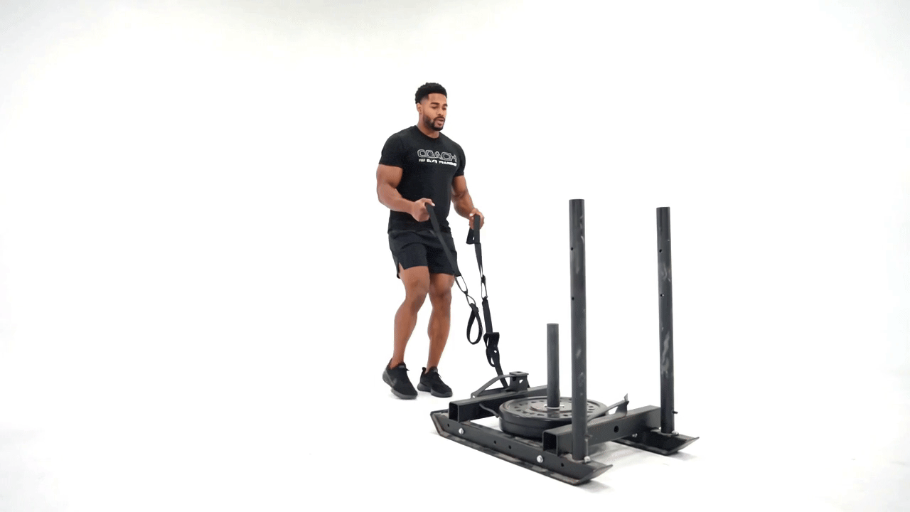 TRX SLED HIKE
