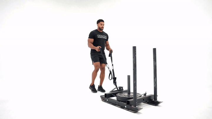 TRX SLED HIKE