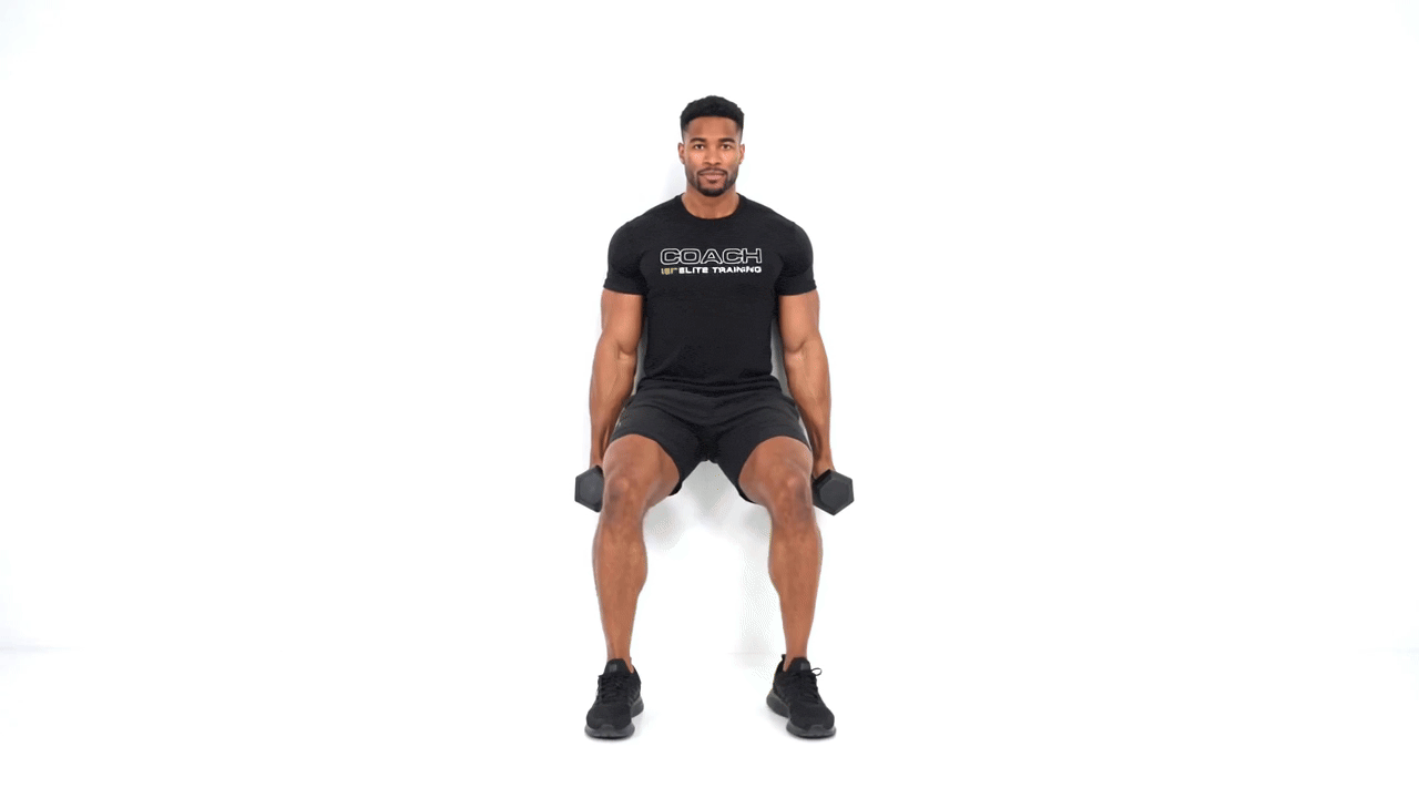 Wall Sit Dumbbell Curl