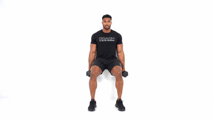 Wall Sit Dumbbell Curl