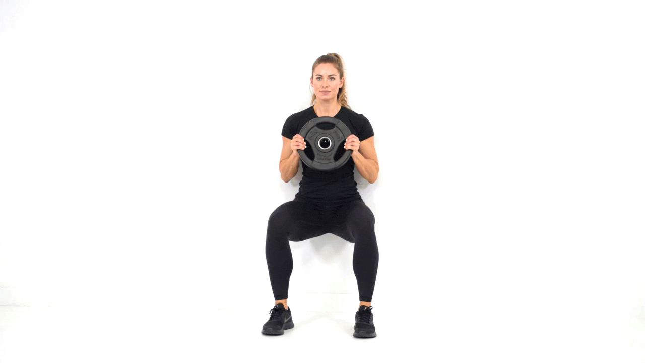 Wall Sit Plate Press