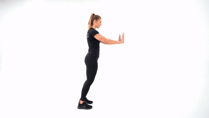 Wall Supported Sissy Squat