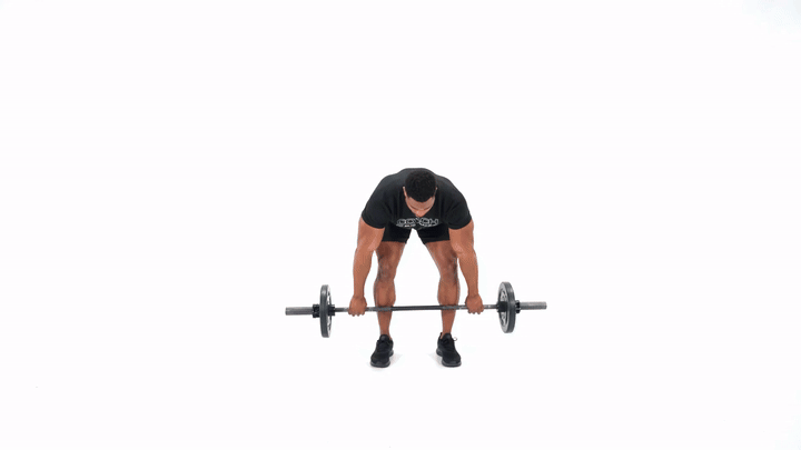 Wide Grip Barbell Bent Over Row